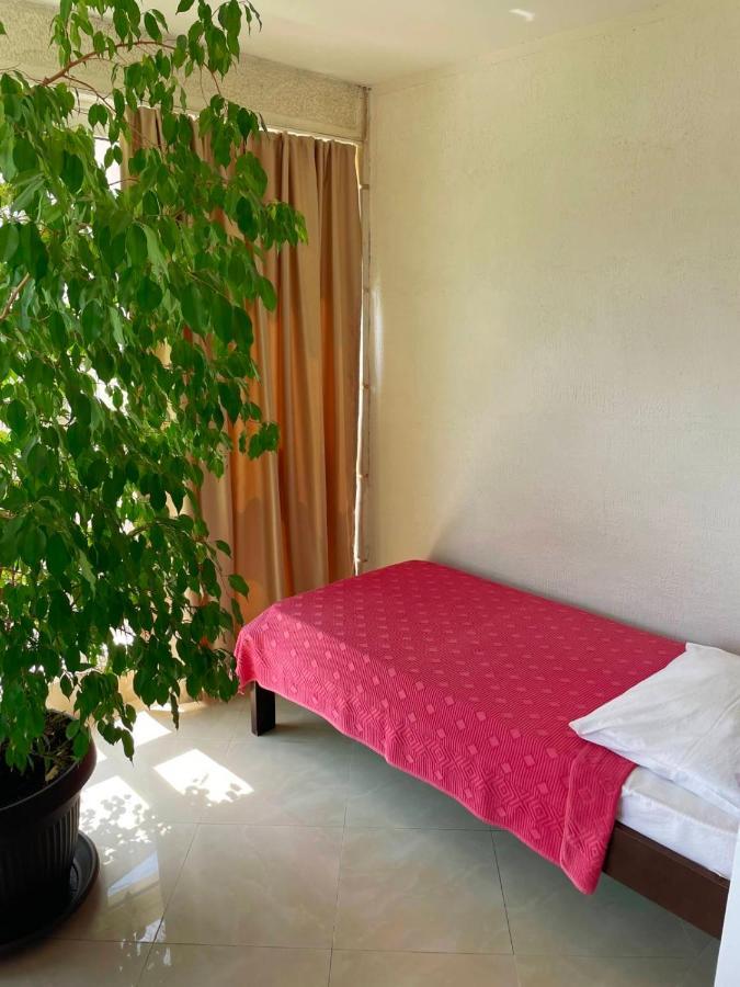 Apartmani Mina Herceg Novi Extérieur photo